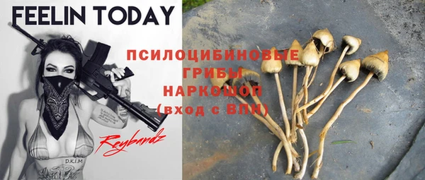 дурь Новозыбков