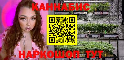 стафф Гусев