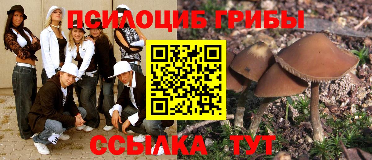 Галлюциногенные грибы ЛСД Карпинск