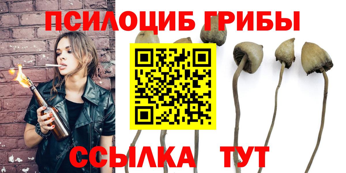 Псилоцибиновые грибы Magic Shrooms  Галлюциногенные грибы Psilocybine cubensis  купить   Вход с VPN  Карпинск 